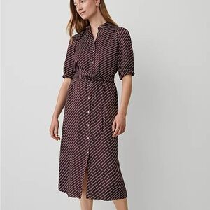 Ann Taylor, Dotted Stand Collar Belted Midi Shirtdress, NWT, size 12